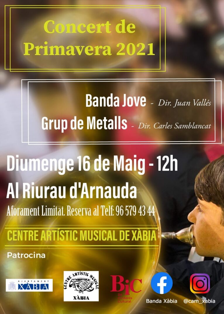 Concierto de la Banda Jove y Grup de Metalls