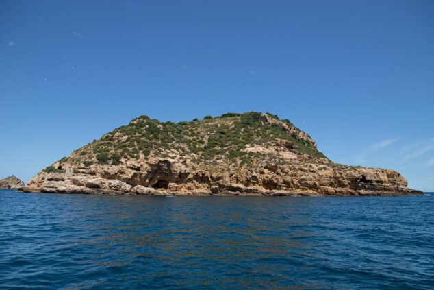 Imagen: Illa del Portitxol