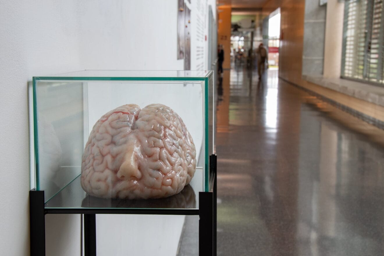 Exposición de Ernesto Ventós en el Hospital de Dénia