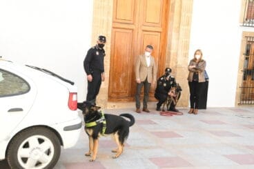 Demostración de la búsqueda de la Unidad canina de Xàbia