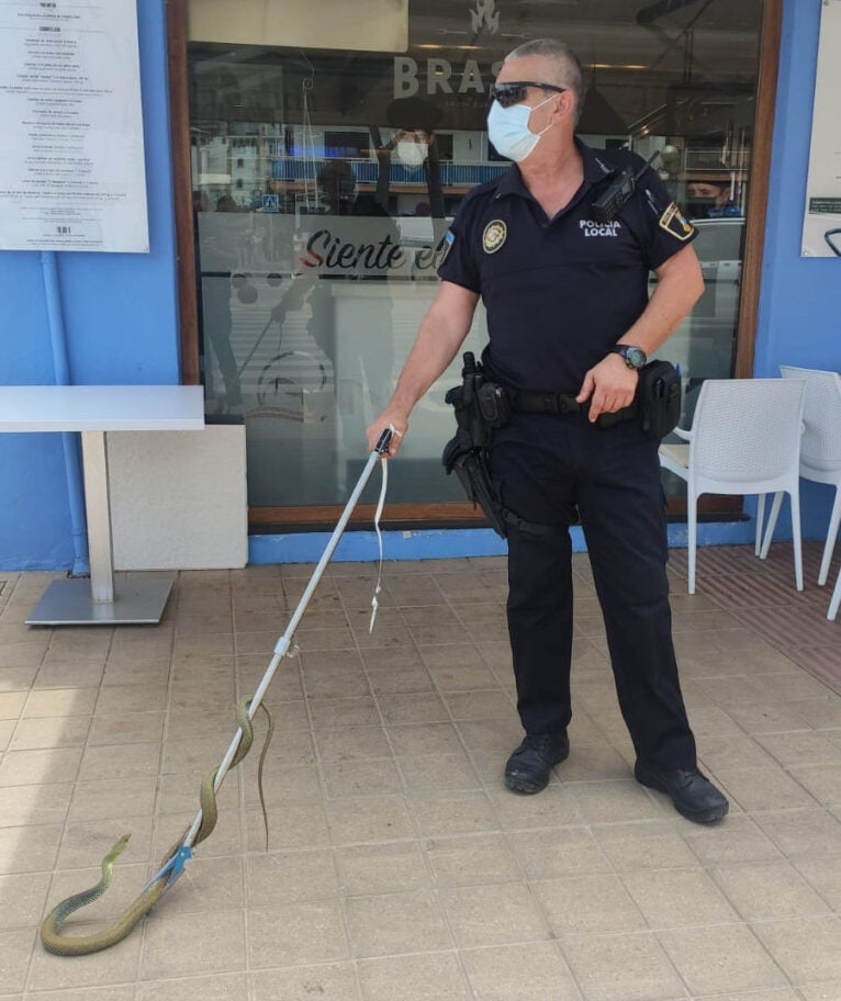 Офицер полиции со змеей