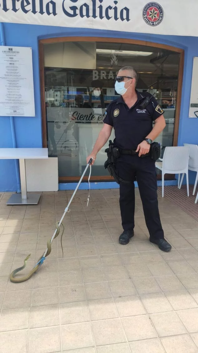 Imagen: Agente de Policía con la serpiente