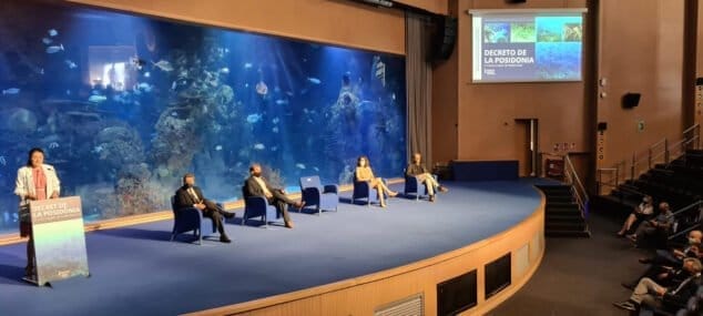 Imagen: Presentación del nuevo decreto sobre la protección de la posidonia