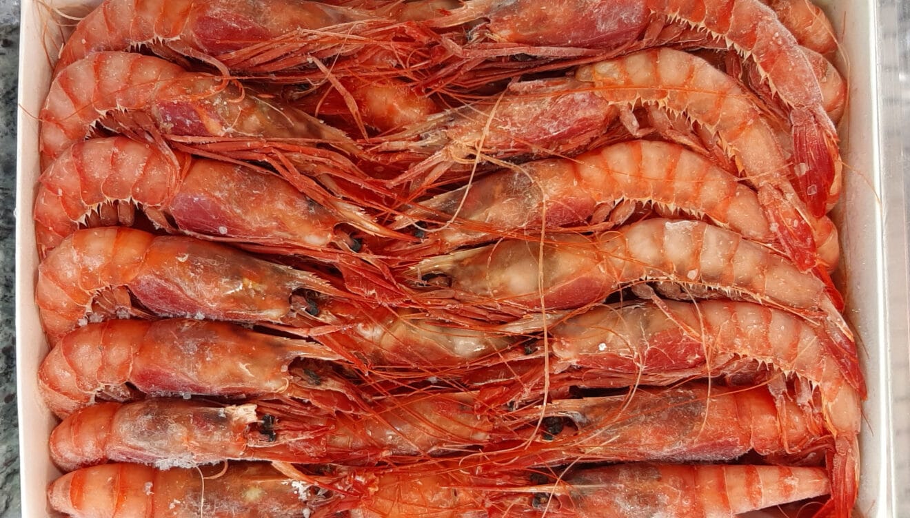 1kg de gambas Tres Carabelas en Congelats Juan