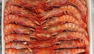 1kg de gambas Tres Carabelas en Congelats Juan