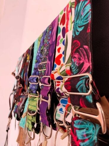Arneses de moda en La Tribu Canina