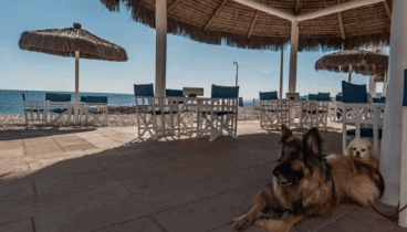 Dónde tomar algo en Jávea