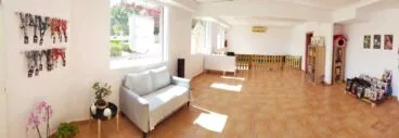 La Tribu Canina – Peluquería Canina Jávea