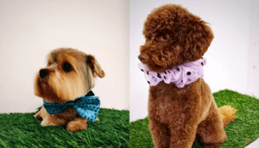 Sesión de Spa con La Tribu Canina