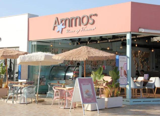 Imagen: Entrada a Restaurante Ammos en la playa del Arenal
