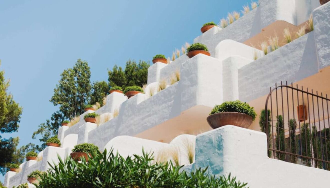 Esencias mediterránea en cada rincón