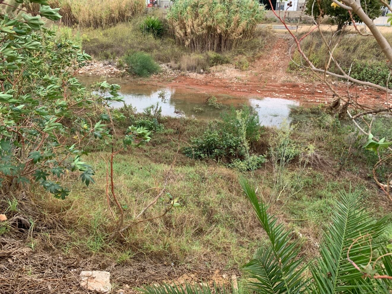 Agua acumulada en un tramo del cauce del río Gorgos