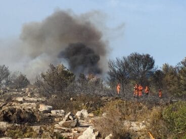 Brigadas forestales en la extinción de las llamas