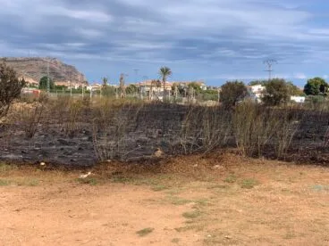 Extinguido el incendio originado en una parcela de Xàbia (2)
