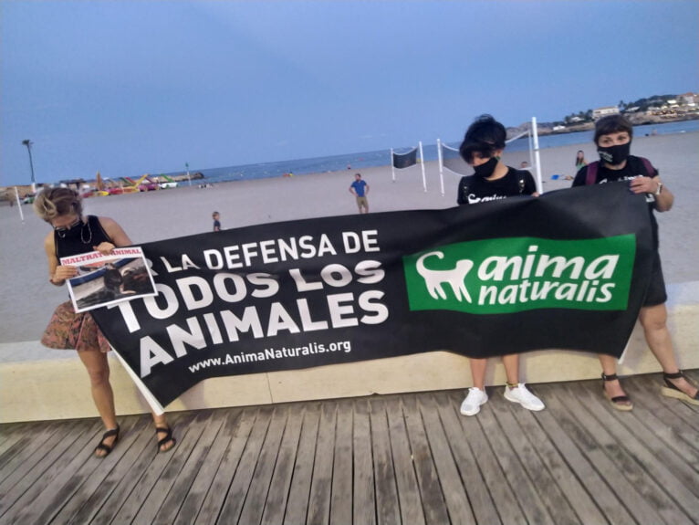 Manifestantes en la playa del Arenal de Xàbia