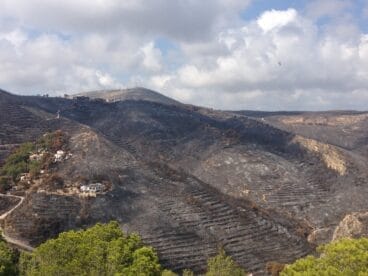 Parque Forestal de la Granadella tras el incendio de 2016