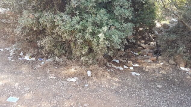 Imagen: Restos de basura en el aparcamiento de la Granadella