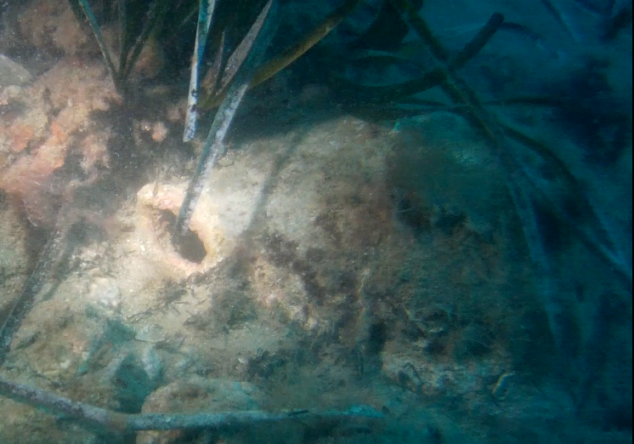 Imagen: nfora encontrada en el fondo de l'illa del Portitxol