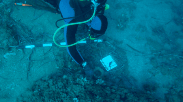 Imagen: Descubrimiento de ánforas