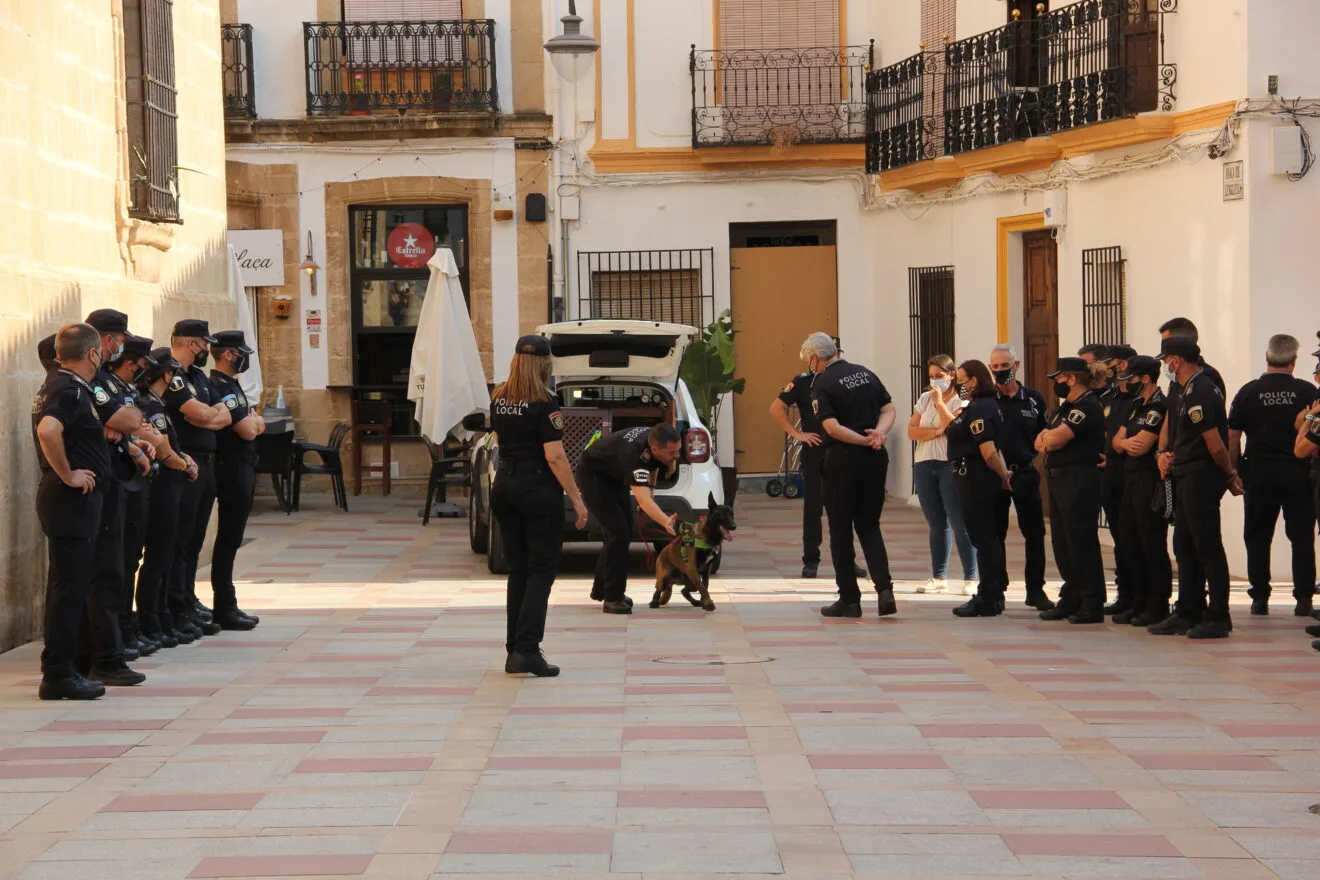 El agente canino inicia la búsqueda