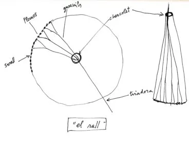 El rall. Partes del rall. Ilustración del autor