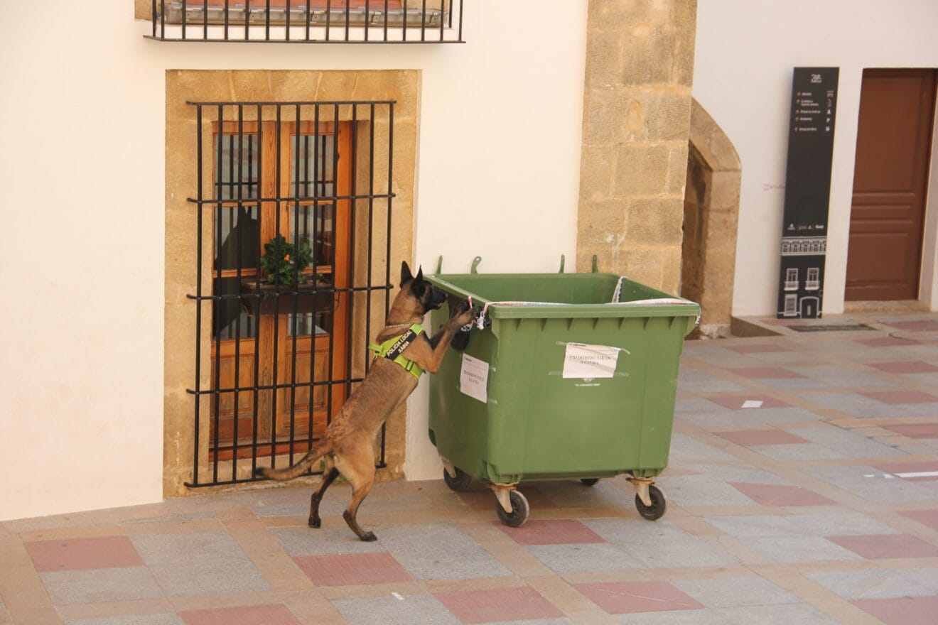 Khalan encuentra a la persona escondida en el contenedor