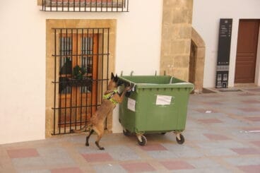 Khalan encuentra a la persona escondida en el contenedor