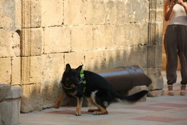 Imagen: Kosmo marca el lugar donde se encuentran las sustancias estupefacientes