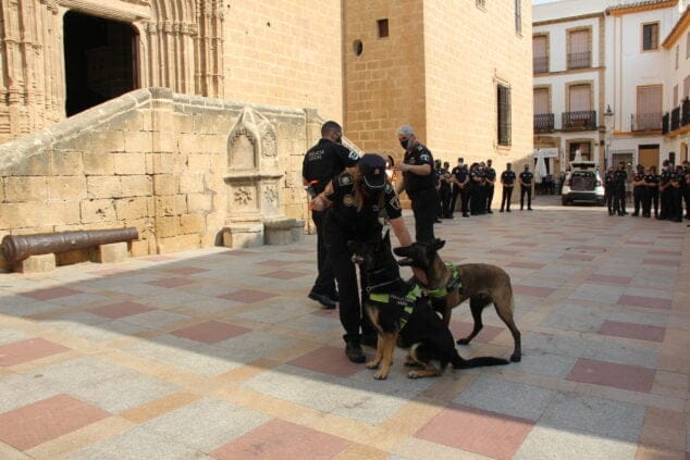 Imagen: Kosmo y Khalan reciben su recompensa por la buena labor