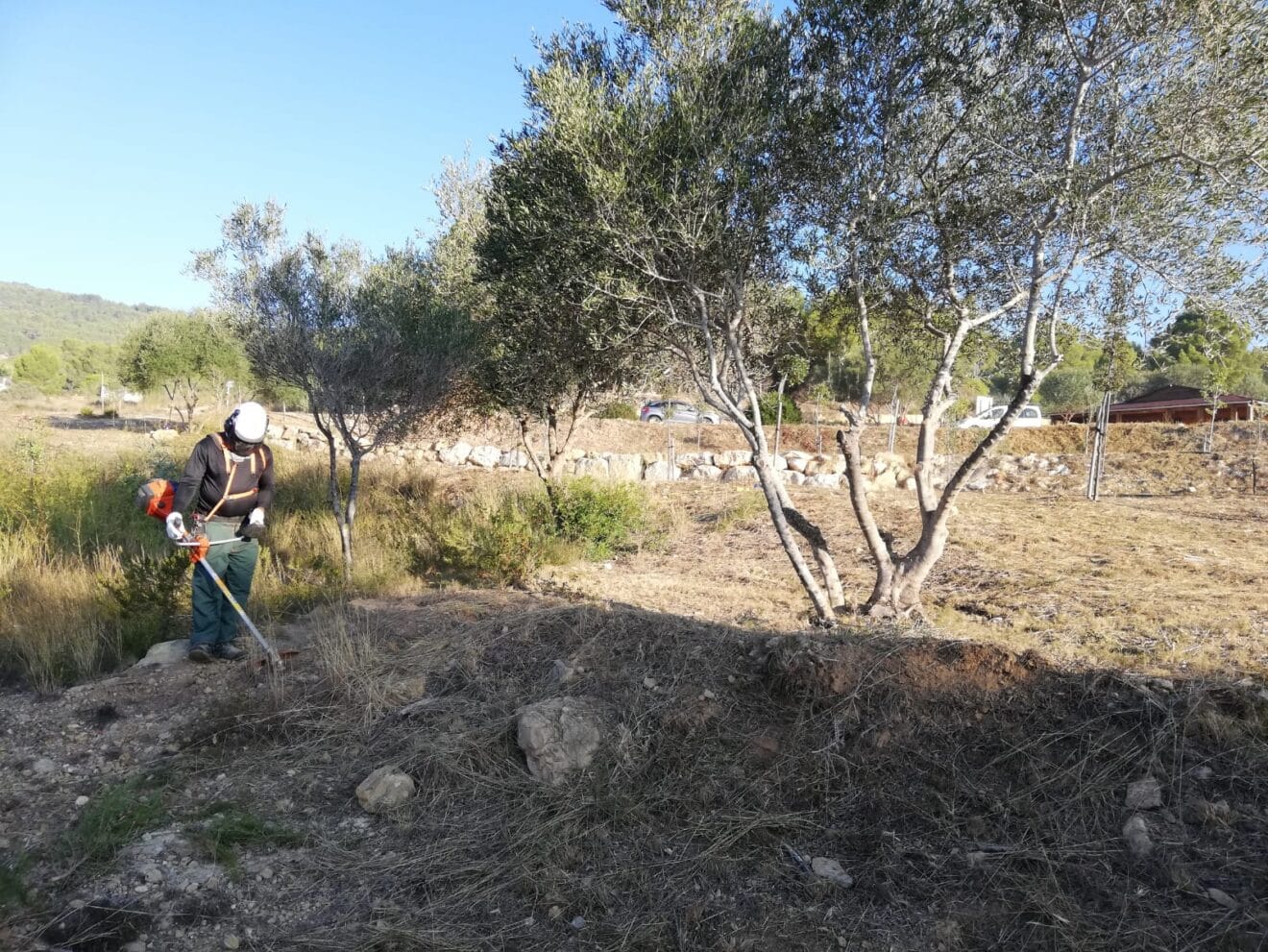 Operario trabajando en el desbroce de zonas verdes