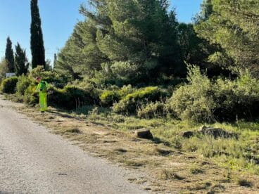 Desbroce de la carretera de Les Planes
