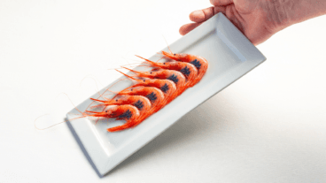 Gamba roja de Jávea