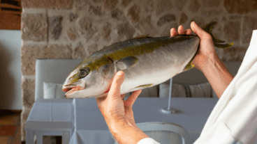 Ingredientes de proximidad
