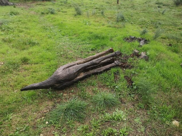 Imagen: Jirafa destrozada del Parque de Pinosol