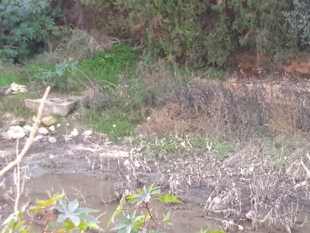 Imagen: Restos de toallitas en el río Gorgos expulsados por la alcantarilla rota