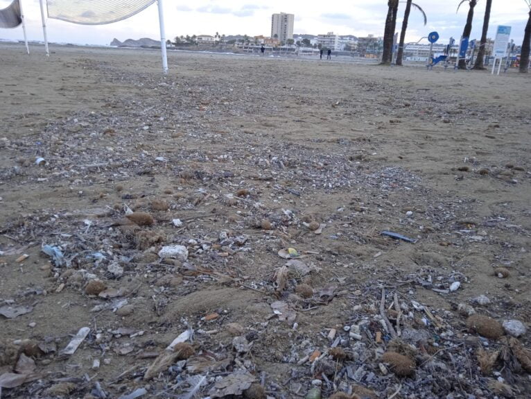 Suciedad a causa del temporal en la playa del Arenal