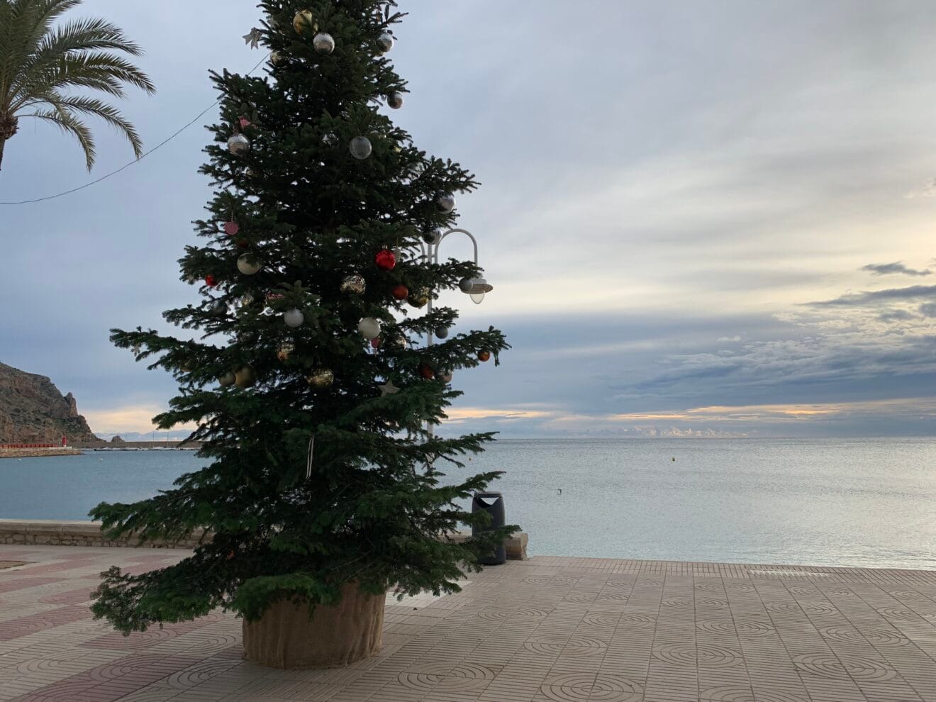 rbol de Navidad en el paseo de la playa de la Grava