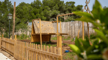 Actividades al aire libre y juego libre en la Escuela Waldorf El Montgó