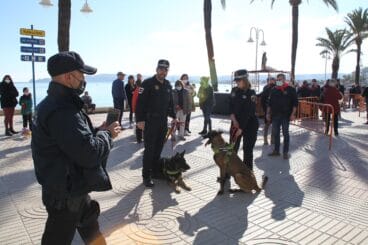 Bendición de animales en Duanes de la Mar (15)
