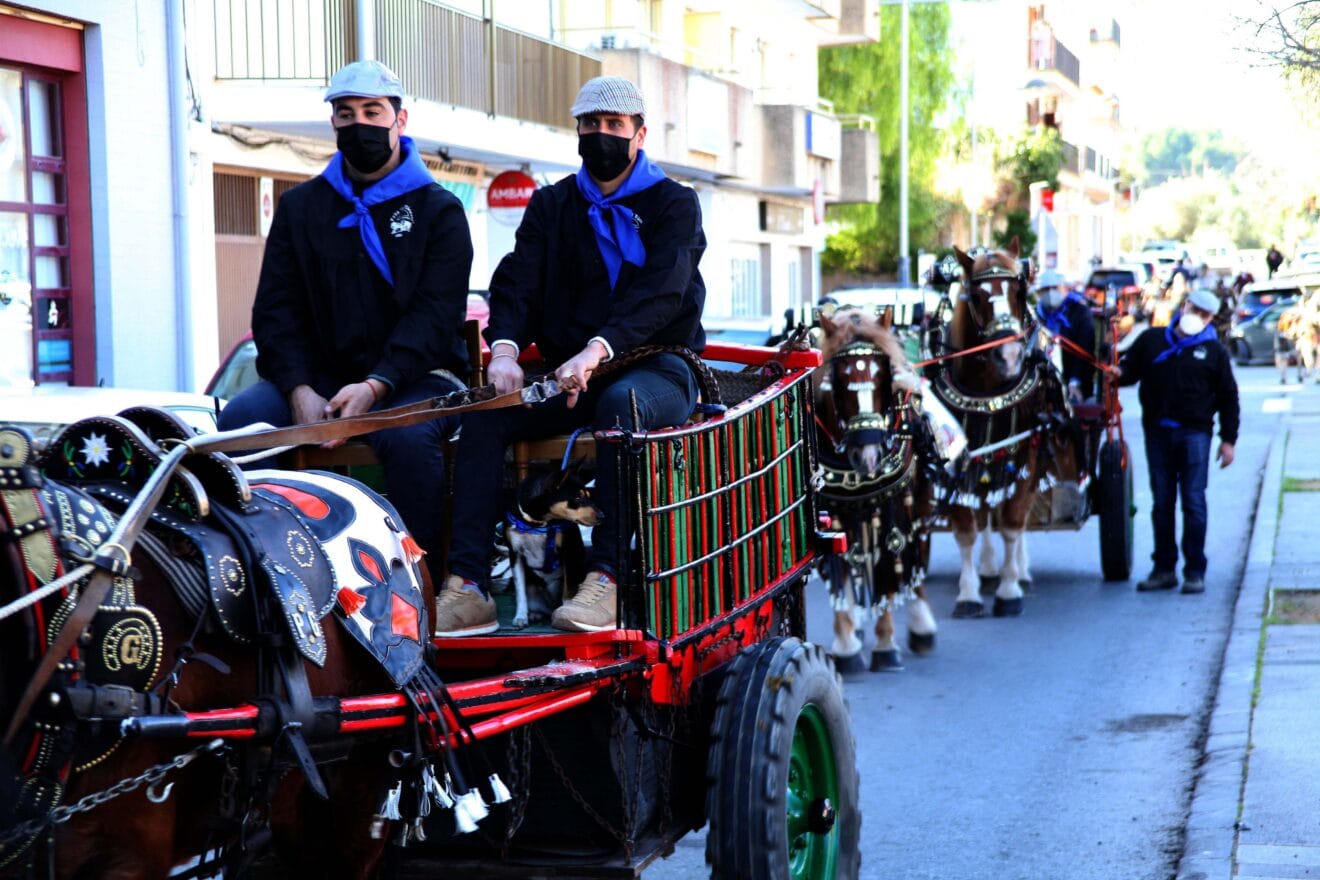Bendición de animales en el centro histórico de Xàbia7 (12)