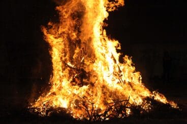 Cremà del Pi de Sant Antoni 2022 (44)