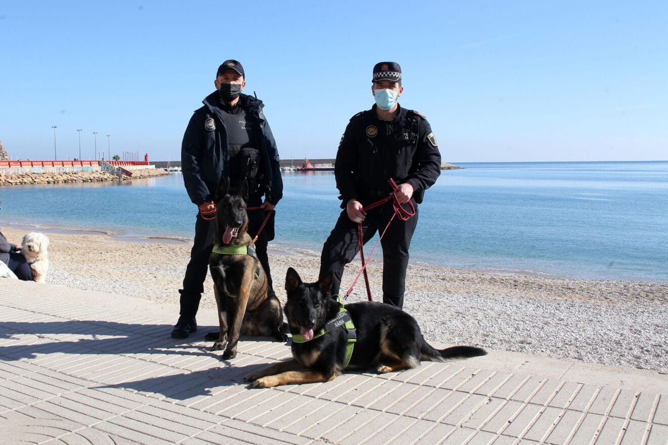 Khalan y Kosmo en la bendición de animales de Sant Antoni