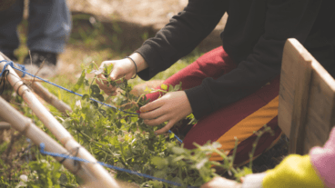 Niños cuidando y cultivando plantas en el huerto escolar de Jávea