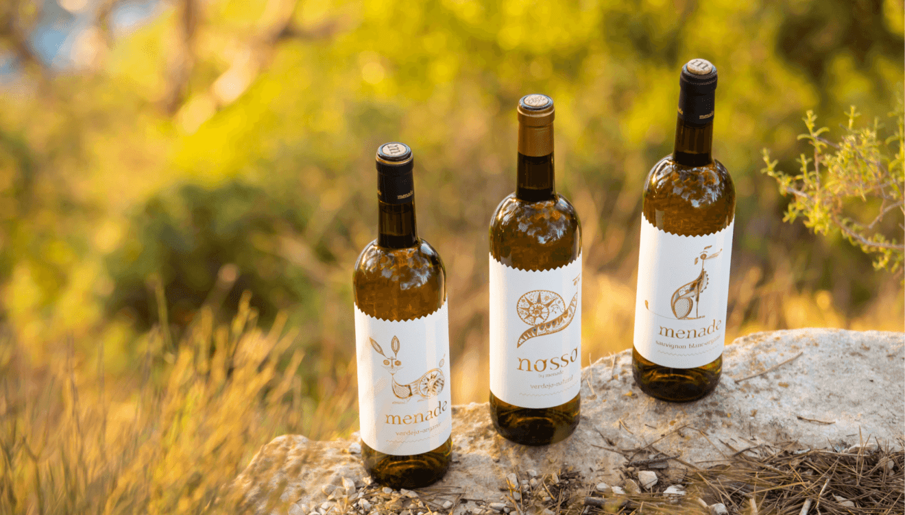 Una gama de exquisitos vinos para sorprender