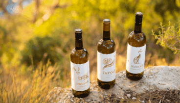 Una gama de exquisitos vinos para sorprender