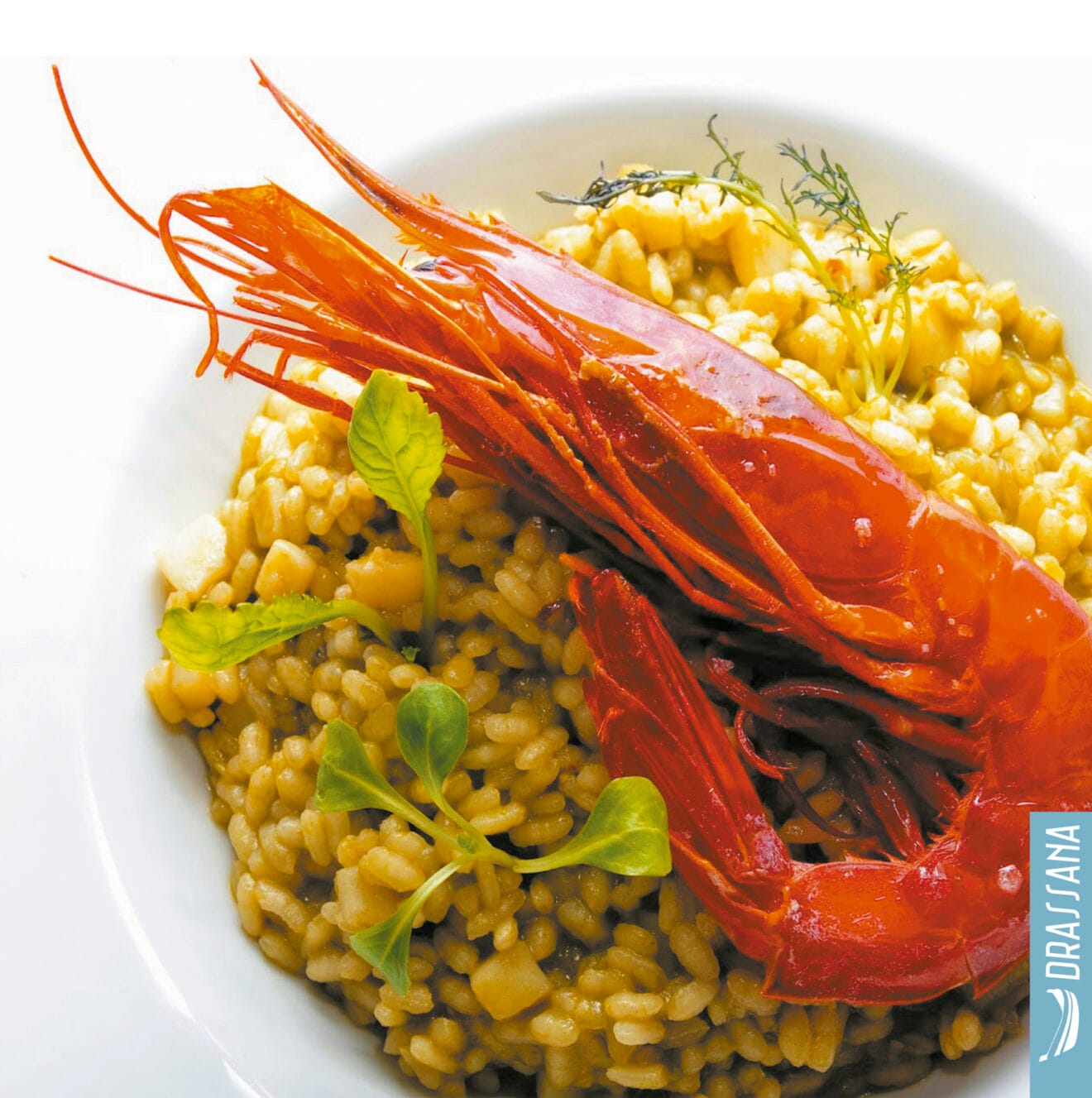 Portada de Arroces y mucho más de Ximo Carrión