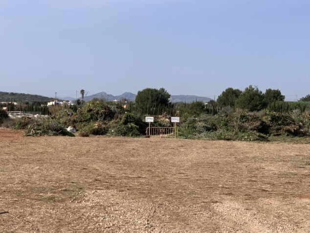 Imagen: Residuos verdes depositados en la nueva parcela de Xàbia
