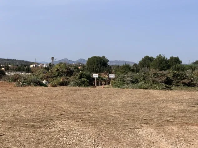 Imagen: Residuos verdes depositados en la nueva parcela de Xàbia