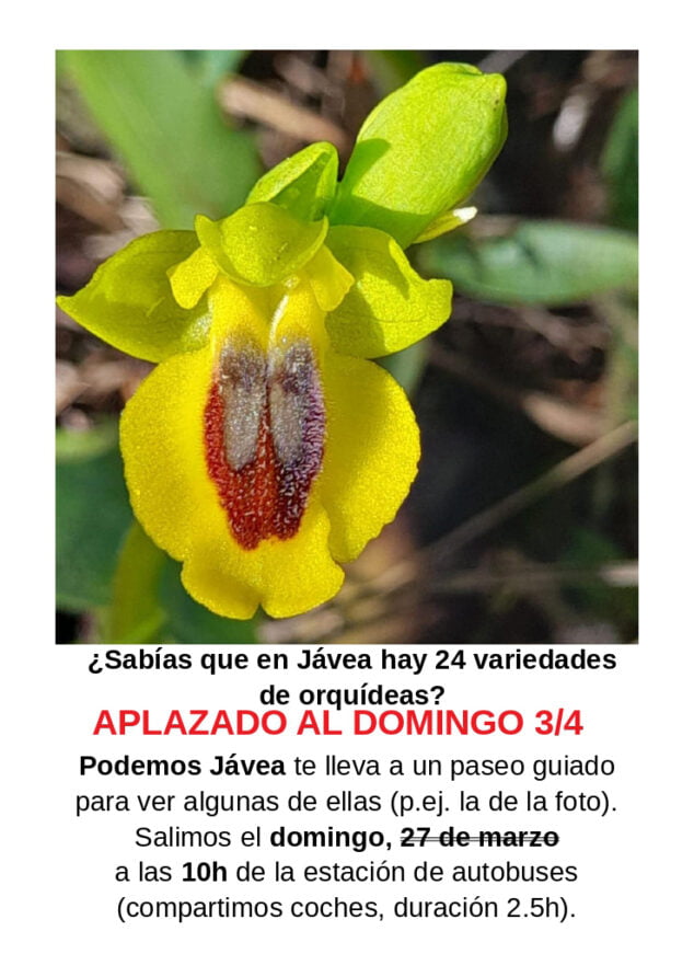 Imagen: Cartel del paseo guiado a las orquídeas