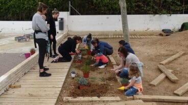 Creando zonas verdes en el patio del CEIP Trenc d’ Alba